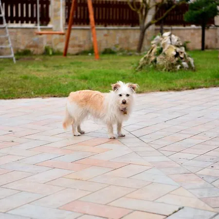 Apartmán Casa Eleni