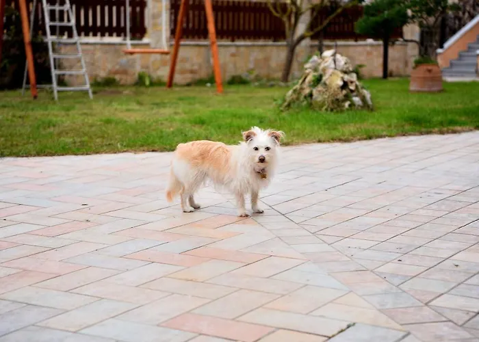 Apartmán Casa Eleni